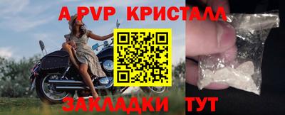ECSTASY Берёзовский