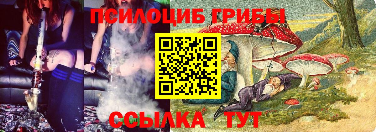 Галлюциногенные грибы ЛСД  Псилоцибиновые грибы прущие грибы  где купить   Вход с VPN  Горно-Алтайск 