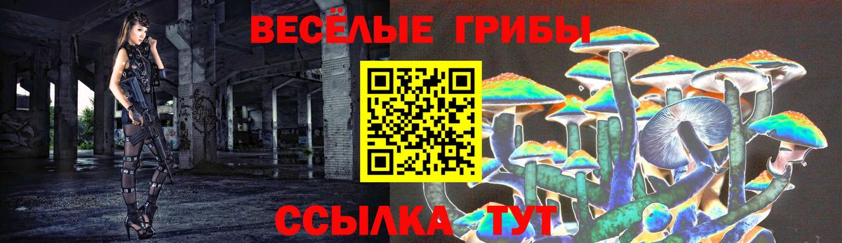 Галлюциногенные грибы мицелий Горно-Алтайск
